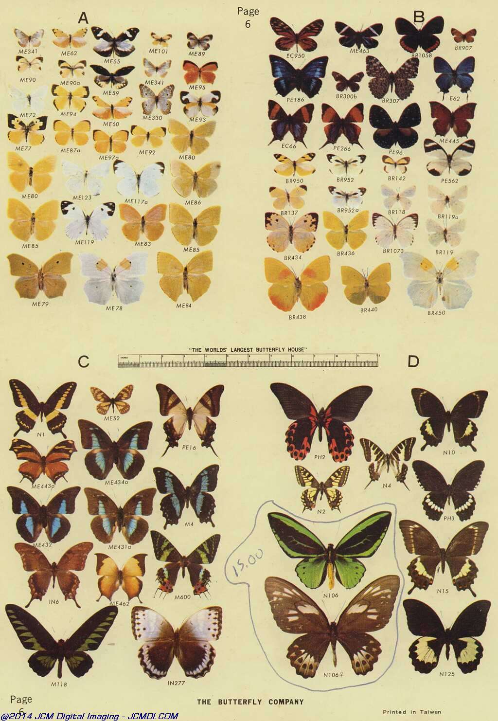 The Butterfly Company (NY) 18 page catalog 1976